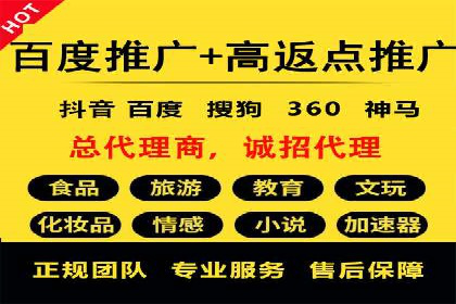 竞价广告的创意与执行：某快消品的营销突破